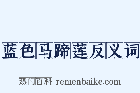 蓝色马蹄莲反义词是什么意思的图片